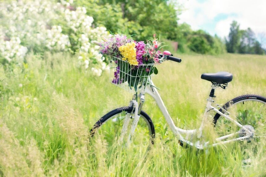 Sonhar com bicicleta