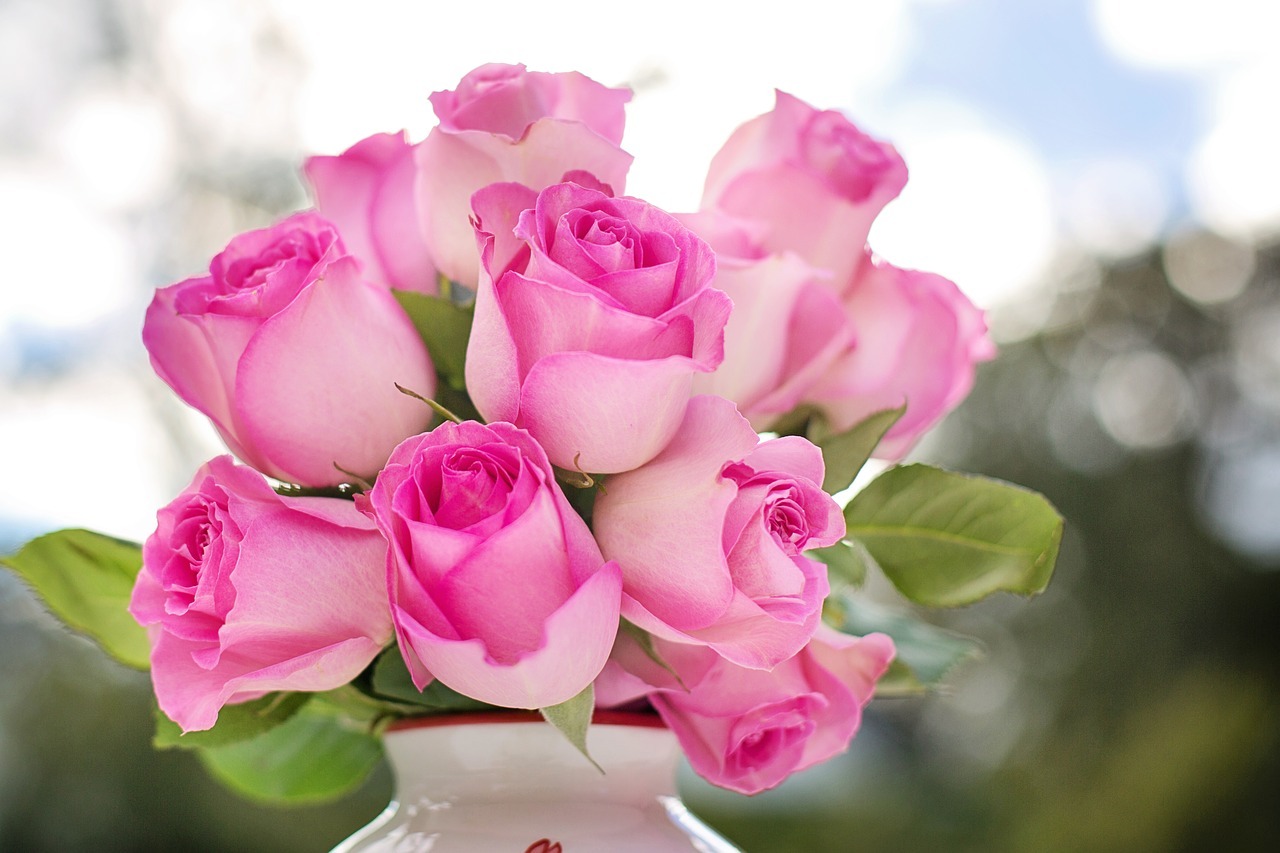 Sonhar com rosas