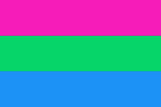 bandeira polysexual