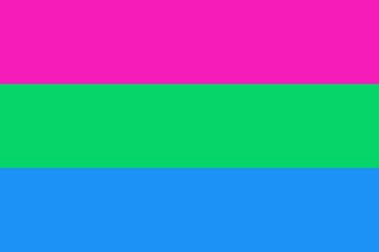 bandeira polysexual