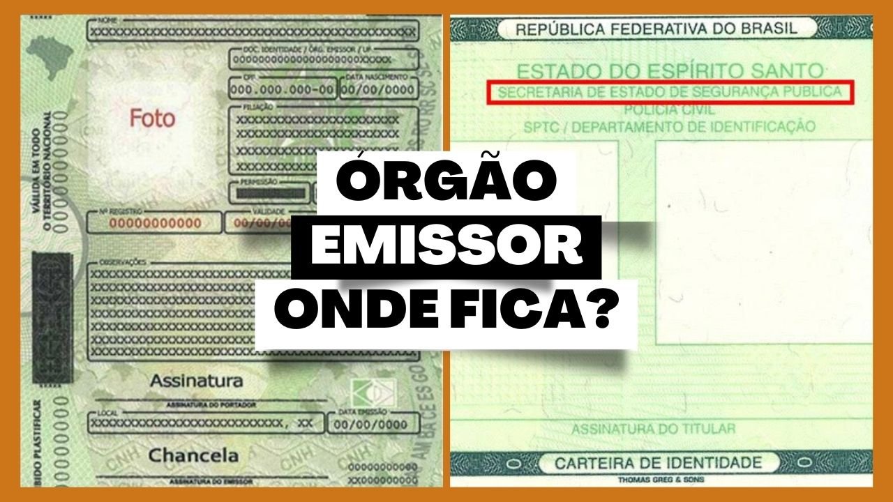 O Que É Orgão Emissor Do Documento