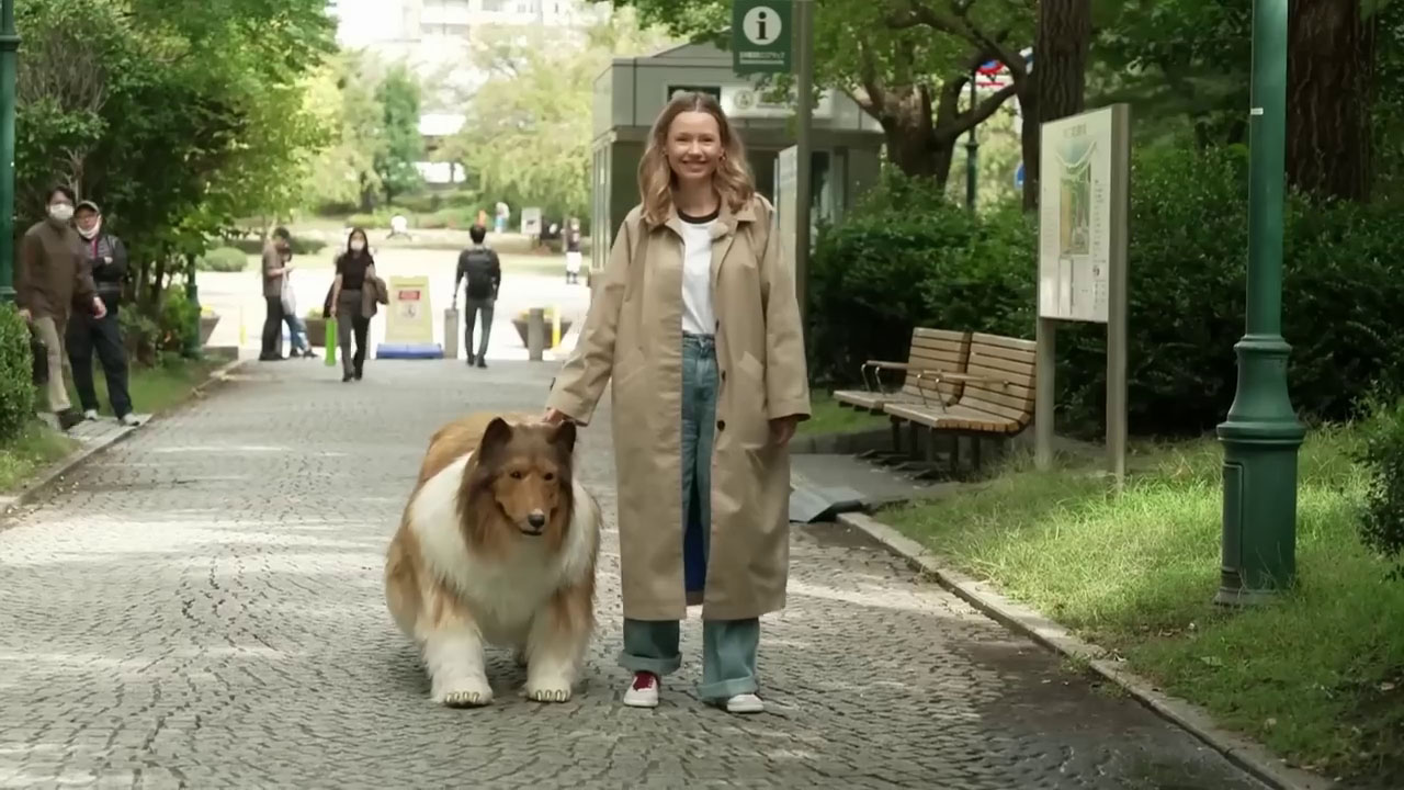 Japonês gastou mais de R$ 70 mil para se transformar em cachorro