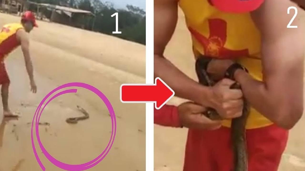 Bombeiro enfrenta mordida de cobra durante operação de salvamento