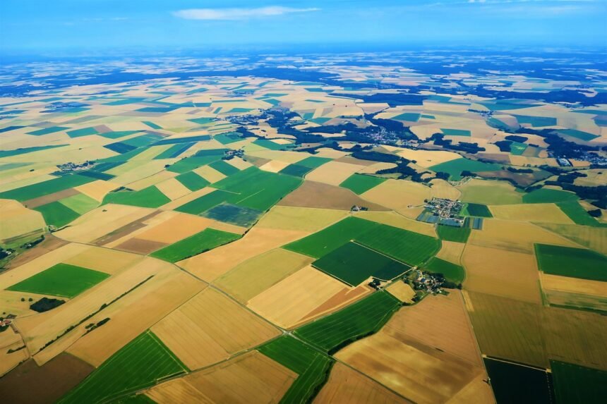 Quantos metros quadrados tem um hectare? Saiba como converter!