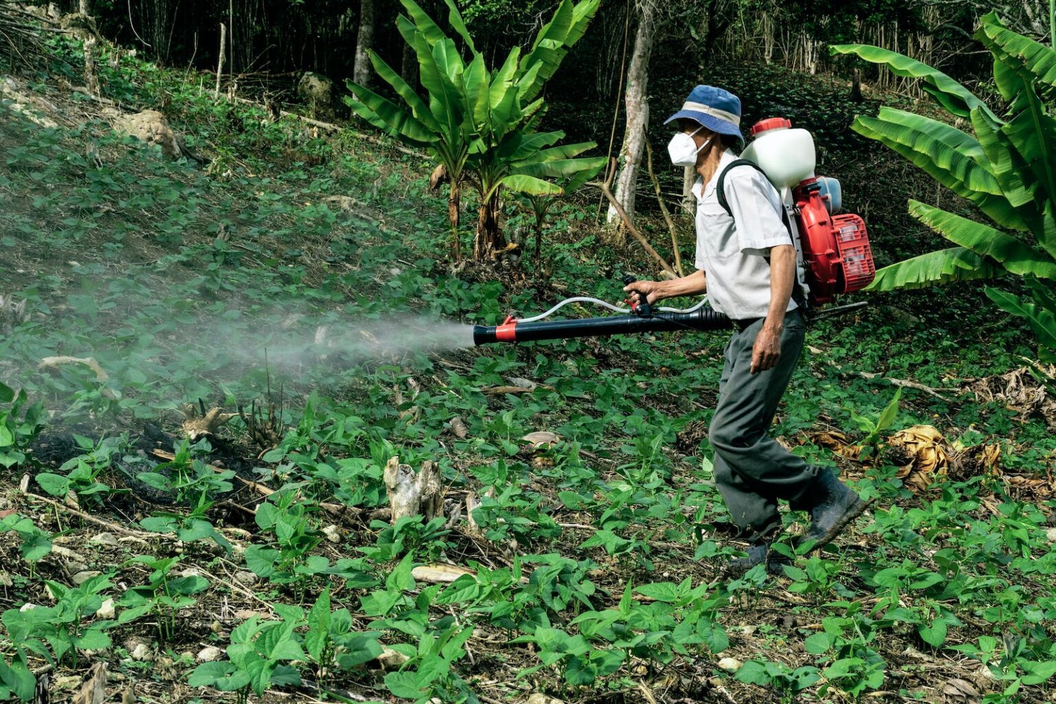 Agrotóxicos: mitos e verdades sobre o uso de defensivos agrícolas
