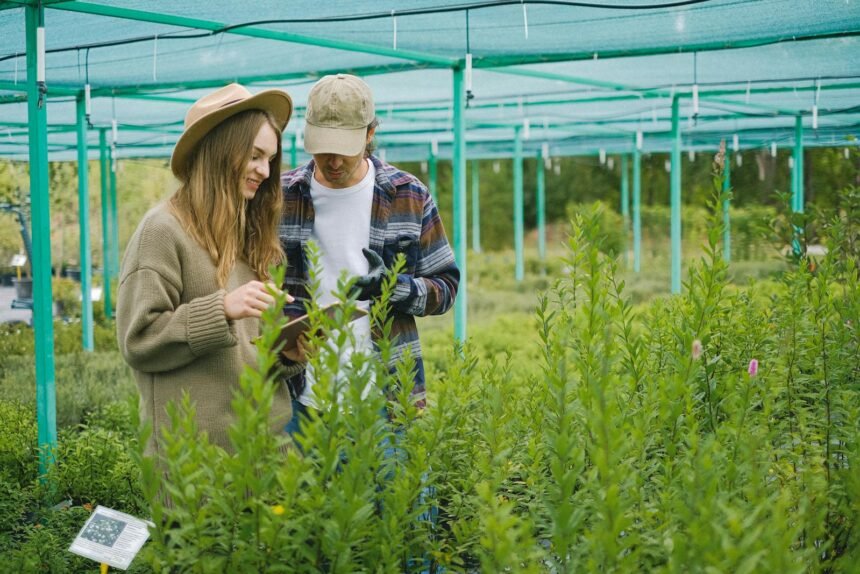 Agronomia: o que faz, formação e salários