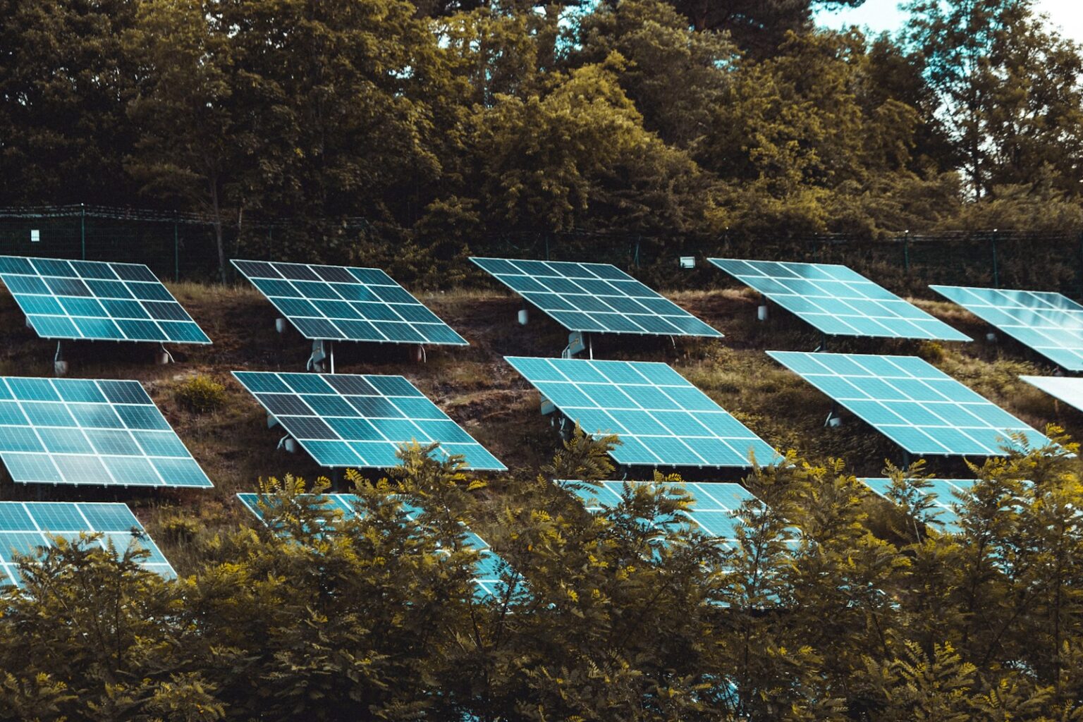 Investimento em energia renovável e finanças sustentáveis
