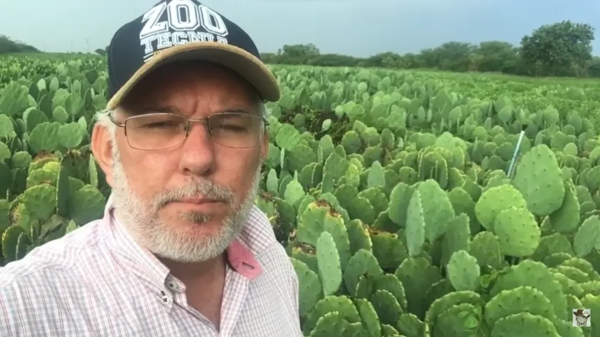 Zootecnista Raimundo Reis faz alerta sobre o uso de herbicidas na palma forrageira