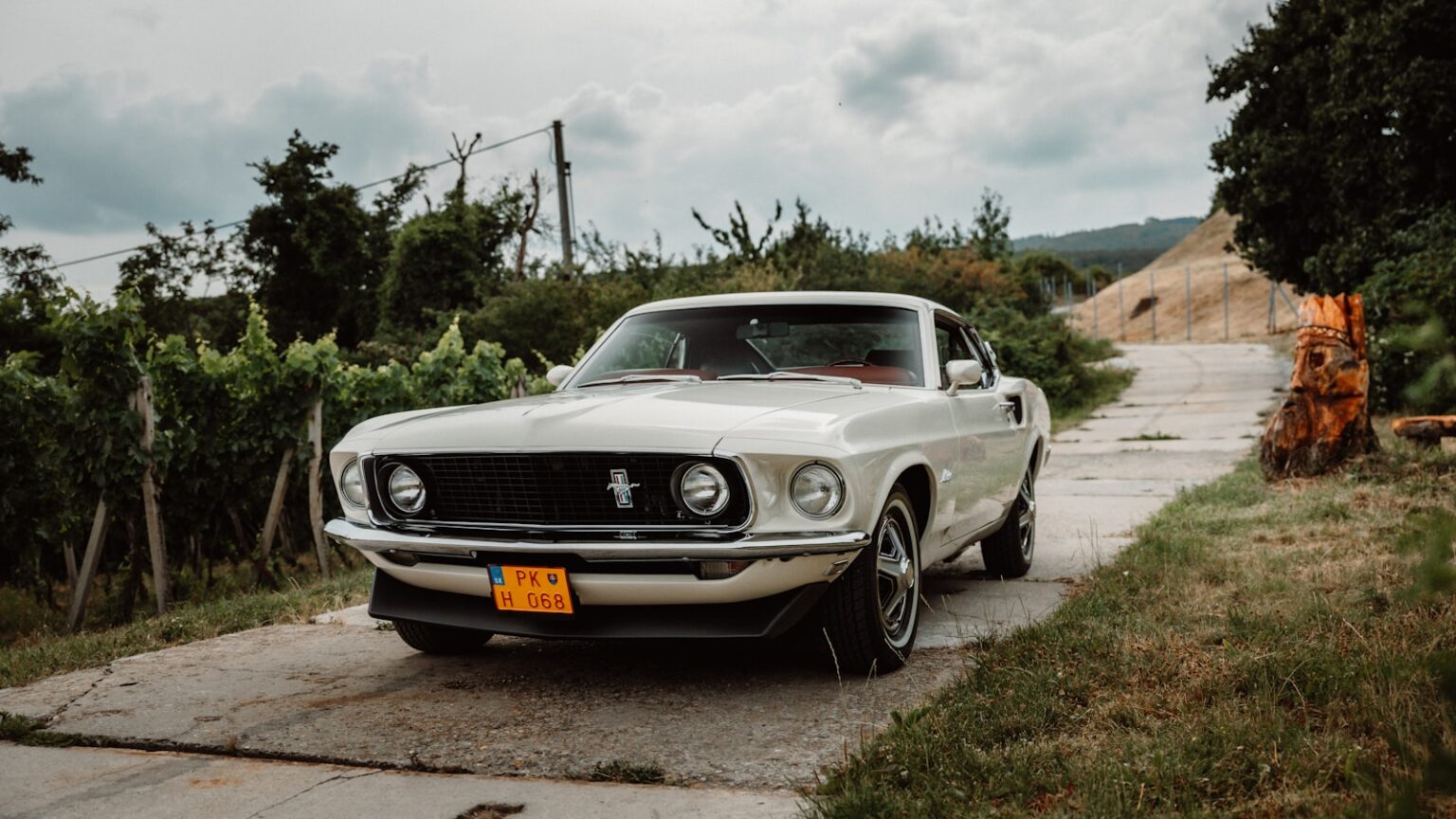 Conheça as diferenças entre financiamento automotivo e leasing de veículos