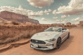 Conheça os documentos necessários para participar de leilões automotivos