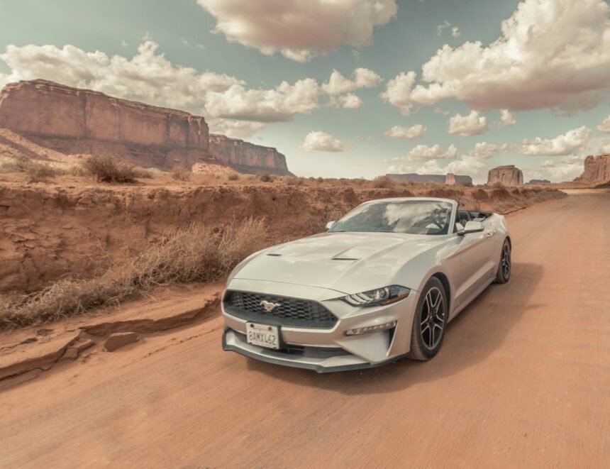 Conheça os documentos necessários para participar de leilões automotivos