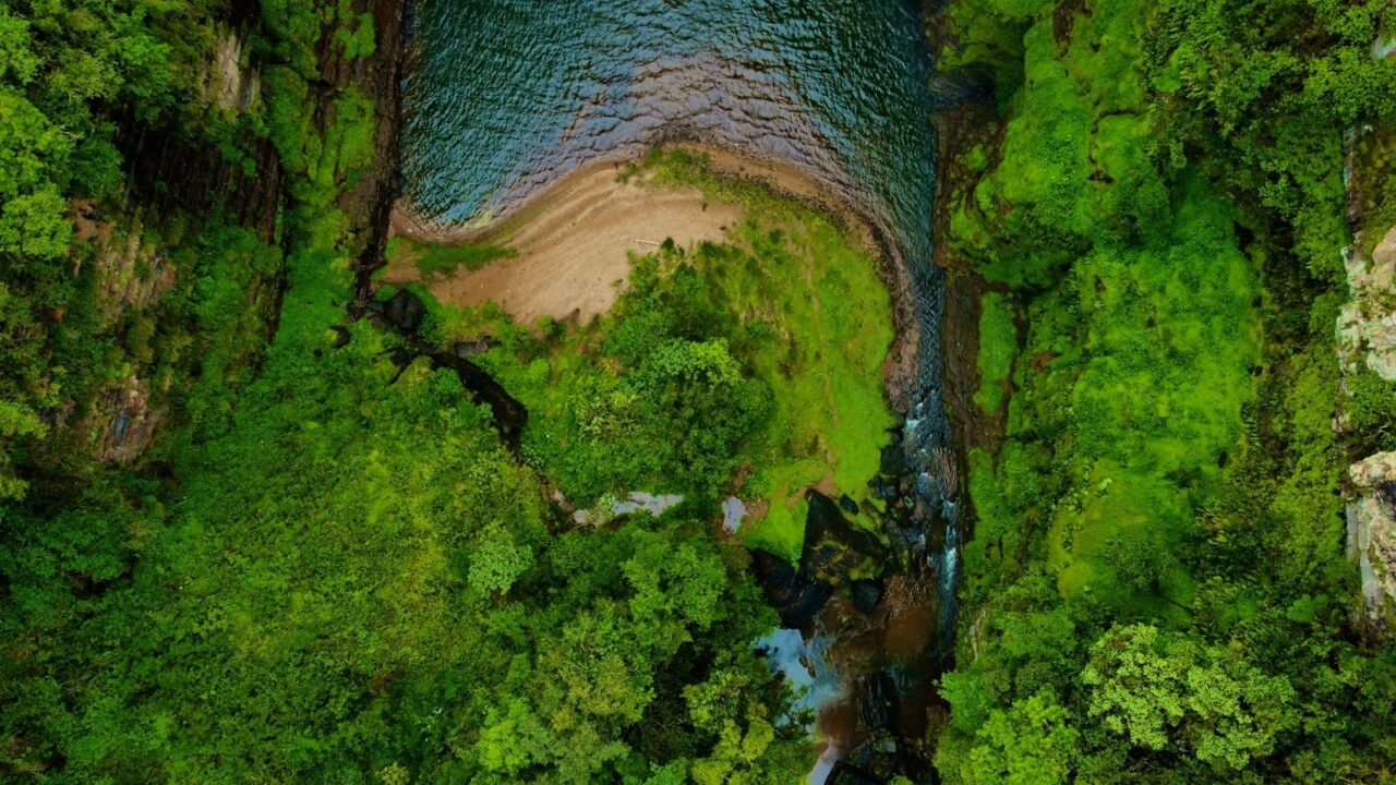 Amazônia