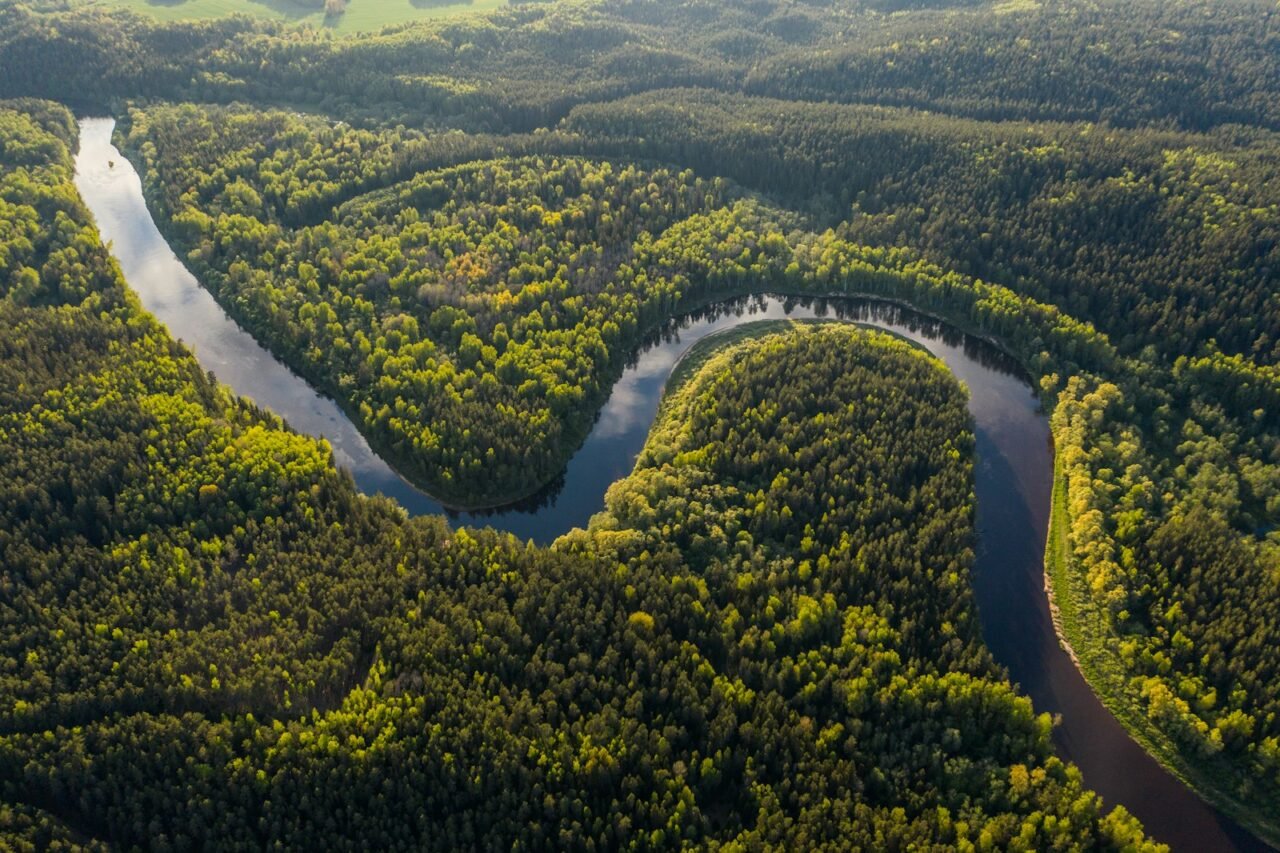 Amazônia