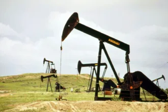 petróleo